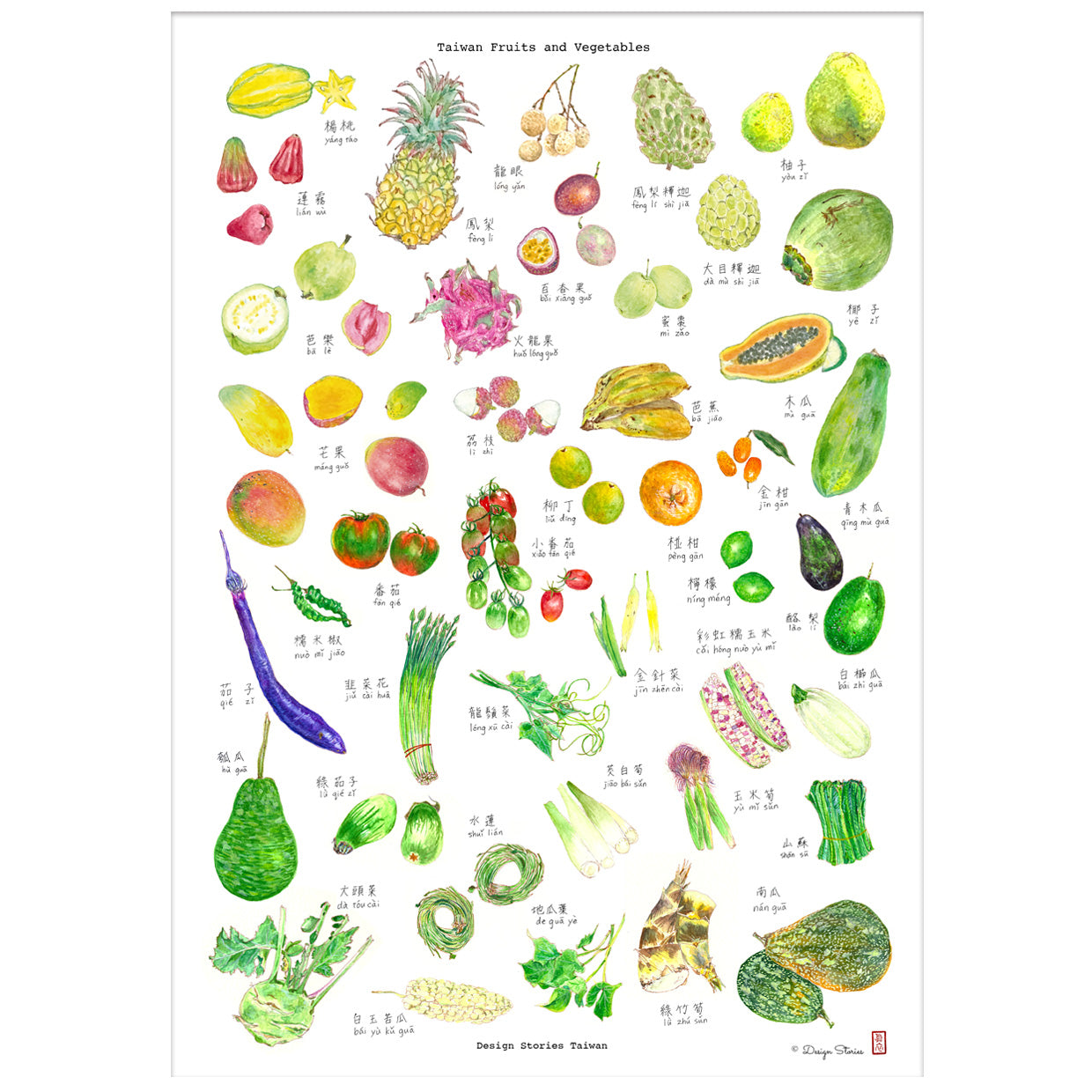 美術紙「台灣水果與蔬菜」A3尺寸（無框）